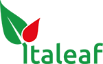 Logo Italeaf